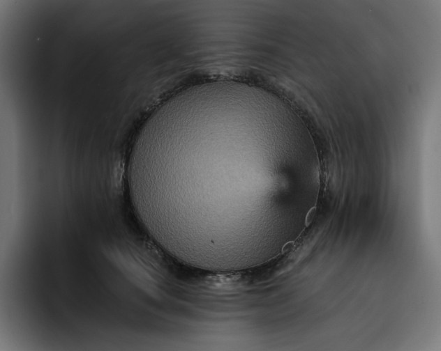 X0000093130660200710101100