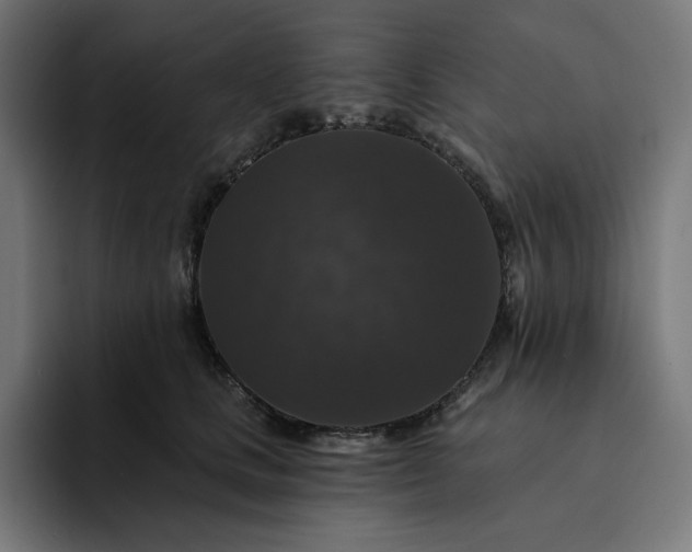 X0000093130661200710101100