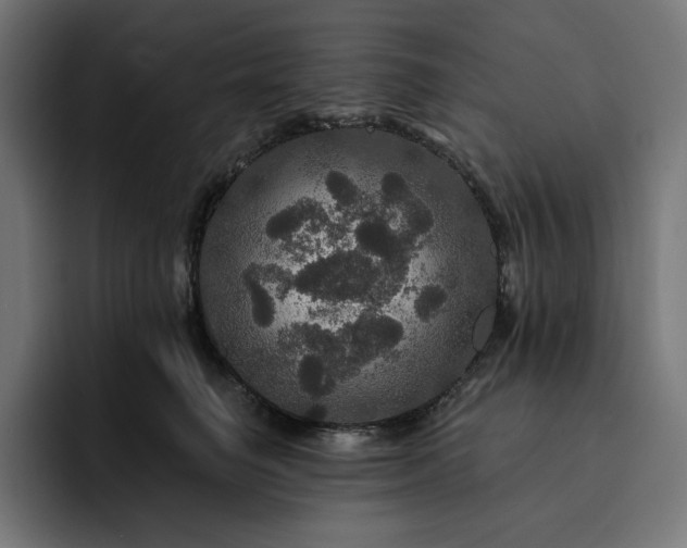 X0000093130662200710101100