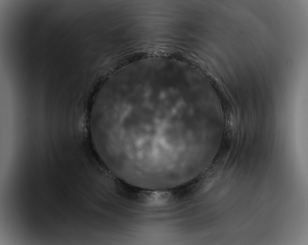 X0000093130663200710101100