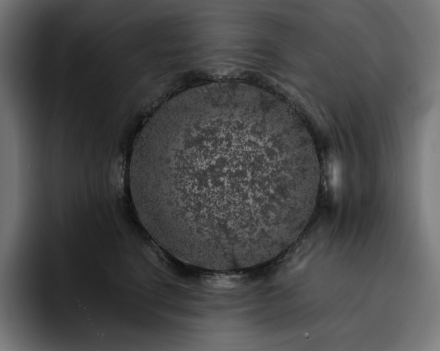 X0000093130664200710101100