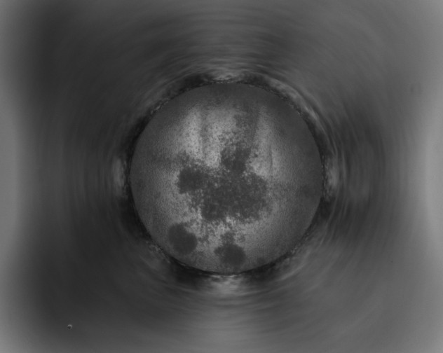 X0000093130667200710101100