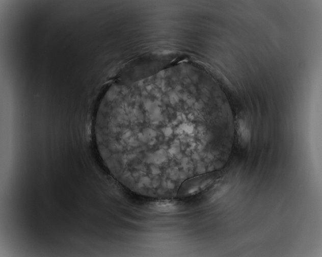 X0000093130668200710101100