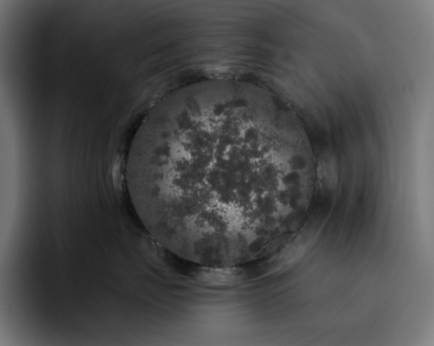 X0000093130671200710101100