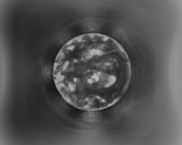 X0000093130672200710101100