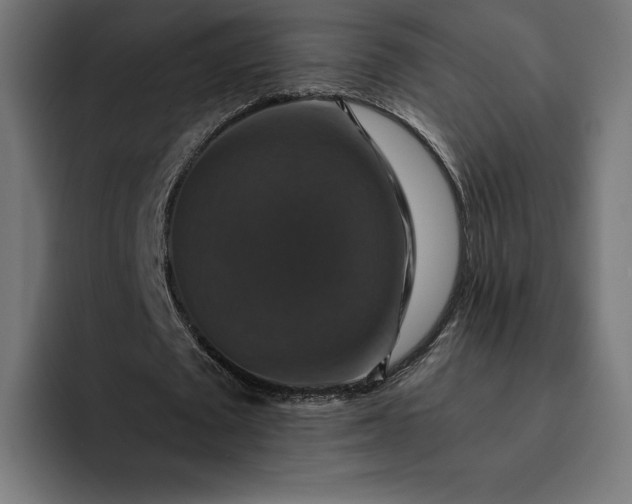 X0000093130673200710101059