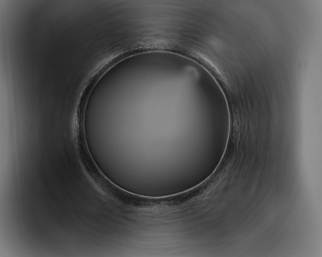 X0000093130674200710101059