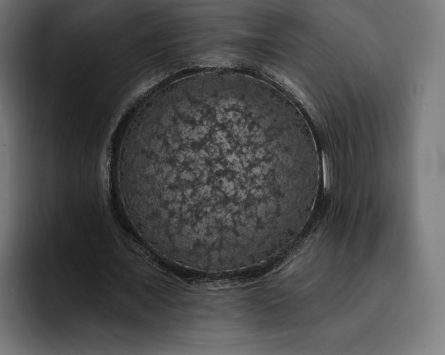 X0000093130675200710101059