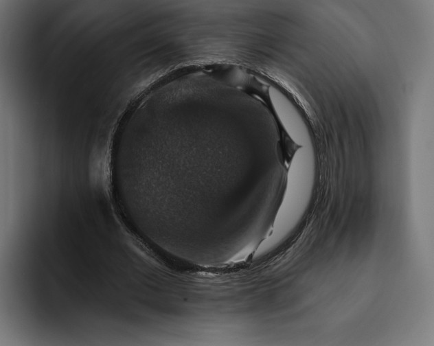 X0000093130677200710101059