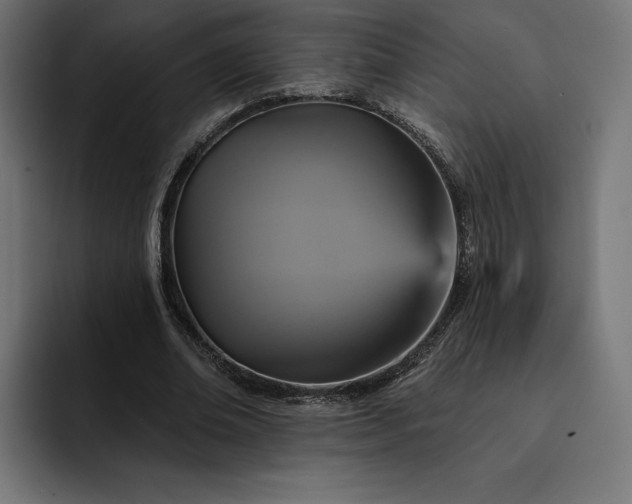 X0000093130678200710101059