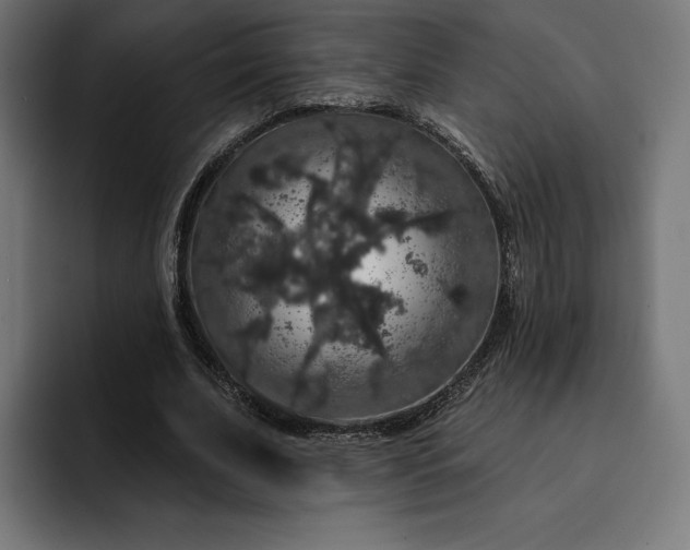 X0000093130679200710101059