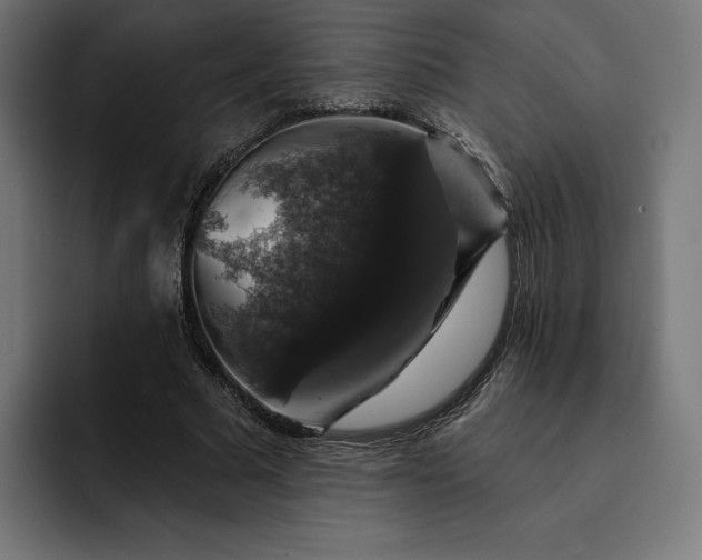 X0000093130681200710101059