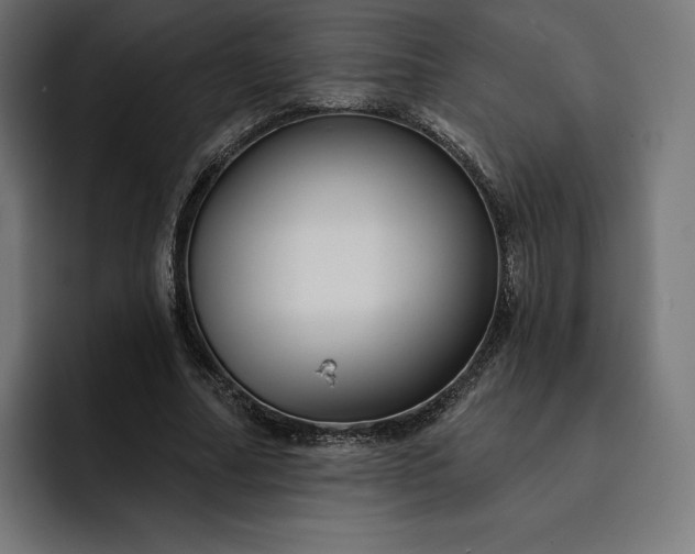 X0000093130682200710101059