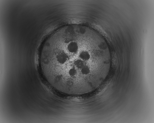 X0000093130683200710101059