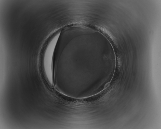 X0000093130684200710101059