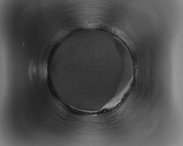 X0000093130685200710101059