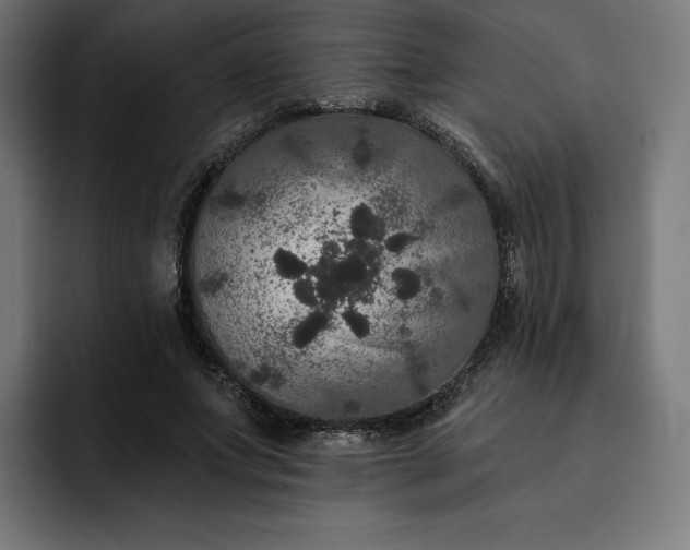 X0000093130687200710101059