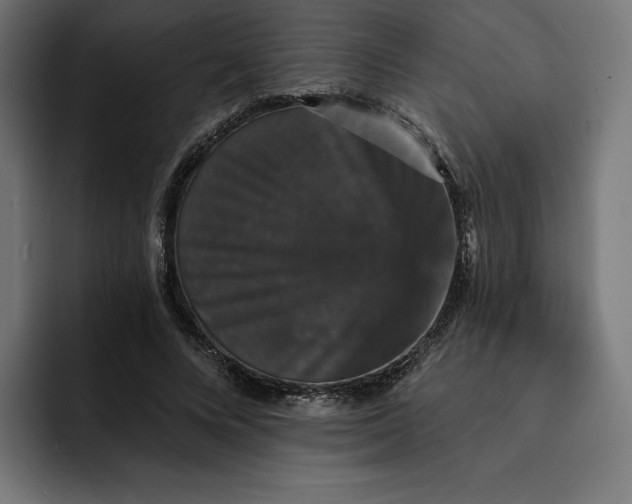 X0000093130688200710101059