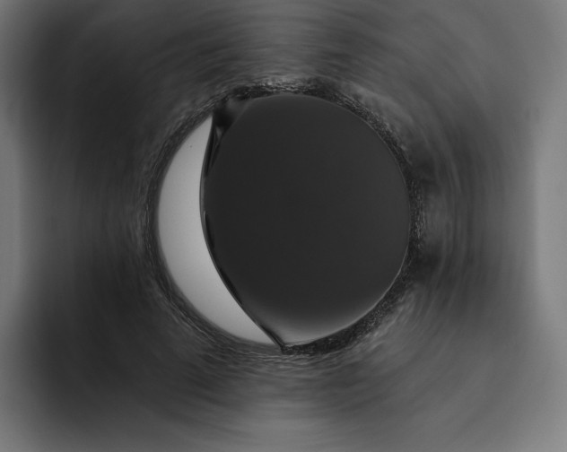 X0000093130689200710101059