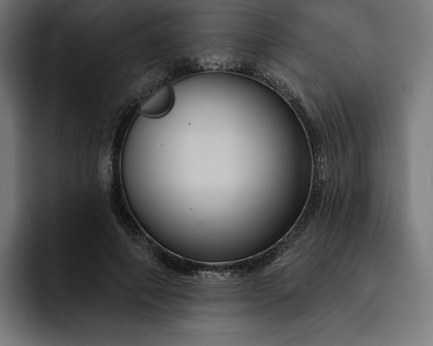 X0000093130690200710101059