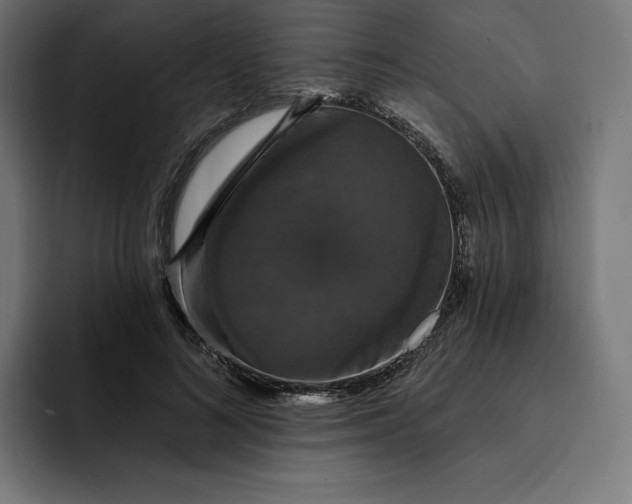 X0000093130692200710101059