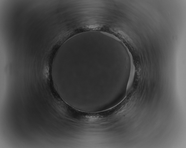 X0000093130693200710101059