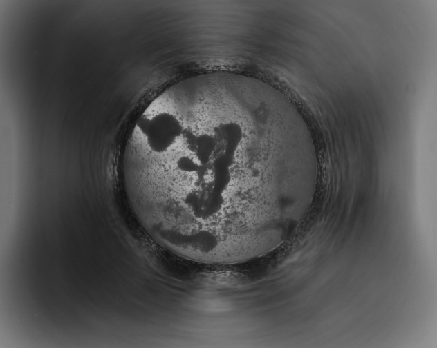 X0000093130695200710101059