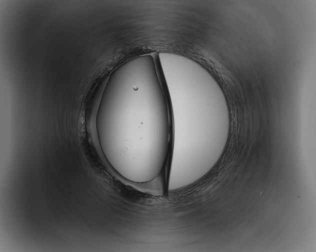 X0000093130696200710101059