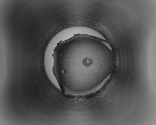 X0000093130697200710101059