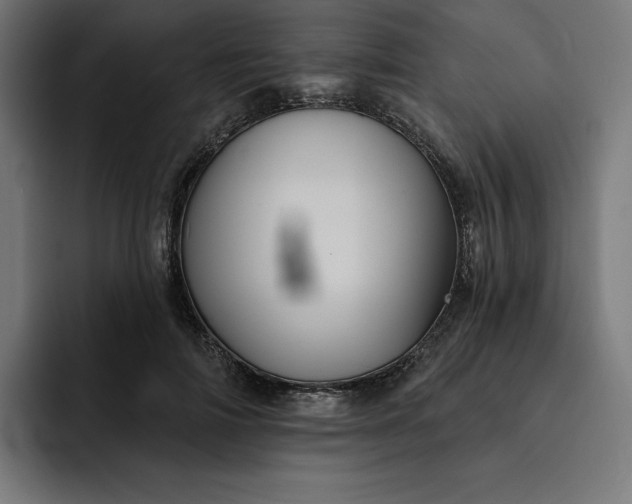 X0000093130698200710101059