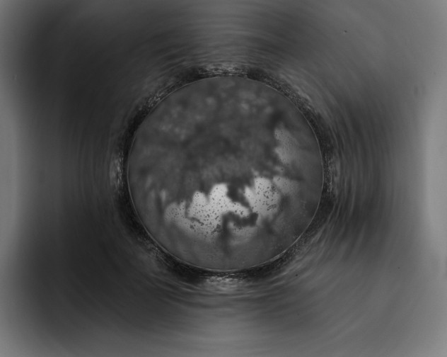 X0000093130699200710101059