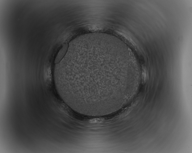 X0000093130700200710101059