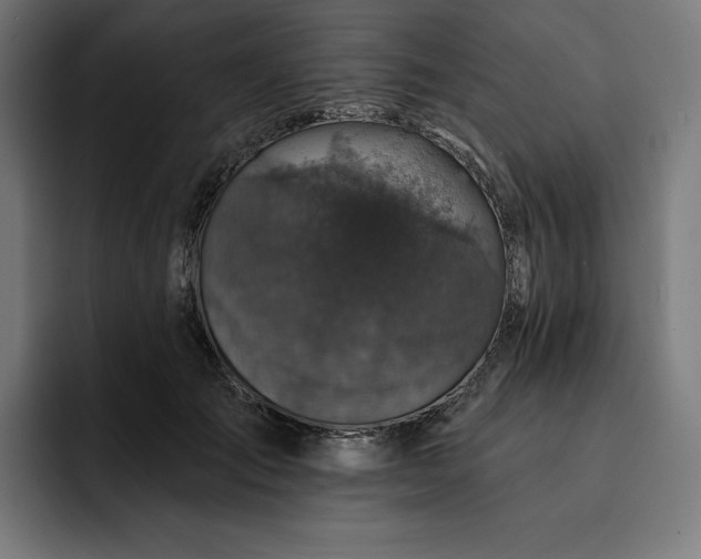 X0000093130701200710101059