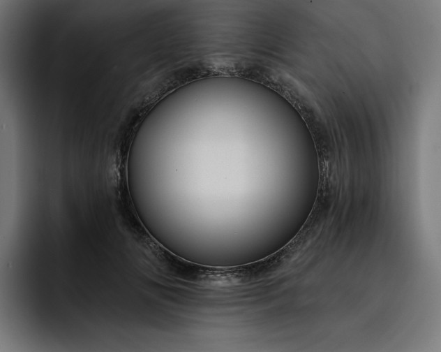 X0000093130702200710101059