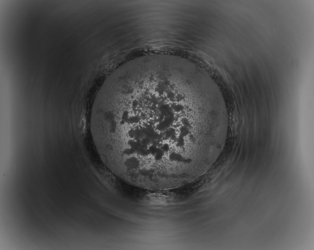 X0000093130703200710101059