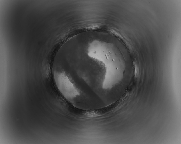 X0000093130704200710101059