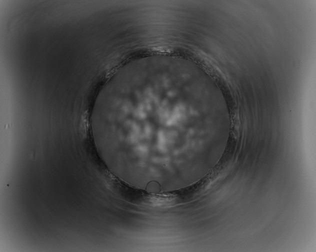 X0000093130707200710101059