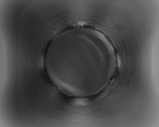 X0000093130708200710101059