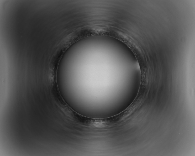 X0000093130710200710101059