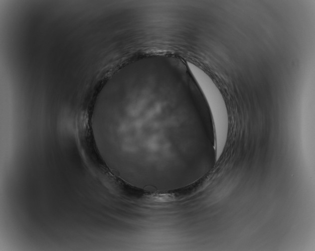 X0000093130711200710101059