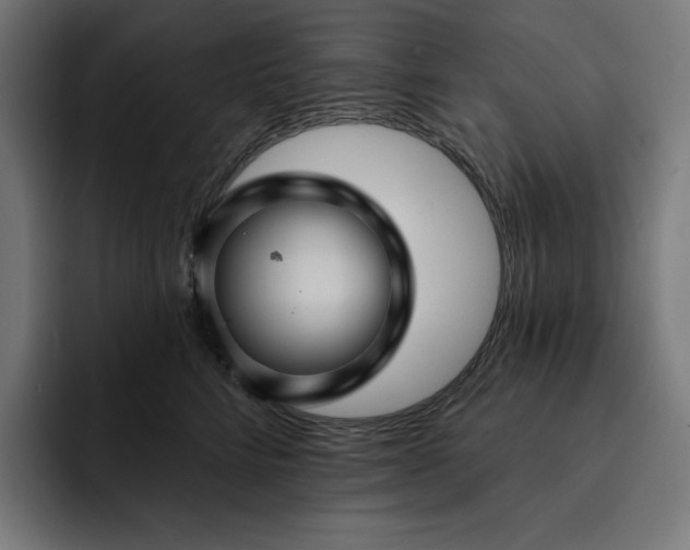 X0000093130712200710101059