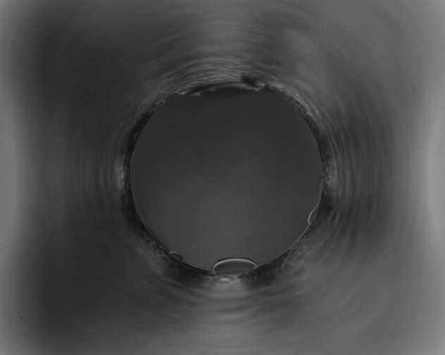 X0000093130715200710101059