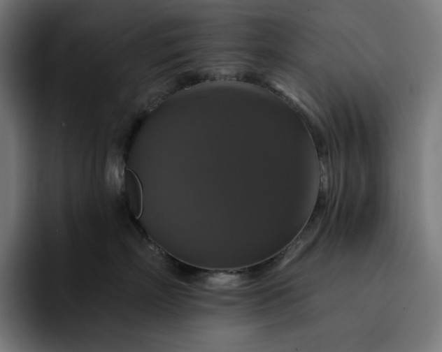 X0000093130718200710101059