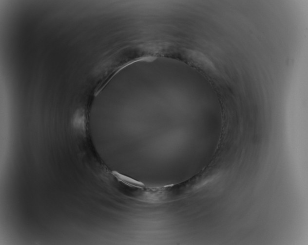 X0000093130720200710101059