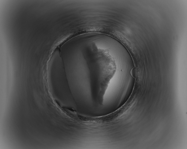 X0000093130721200710101058