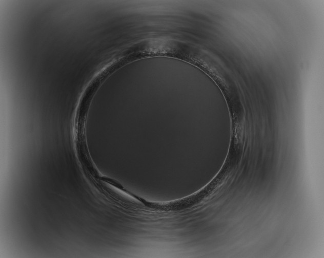 X0000093130722200710101058