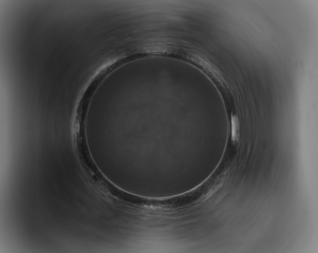 X0000093130723200710101058