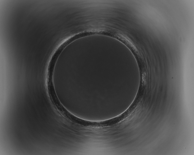 X0000093130724200710101058