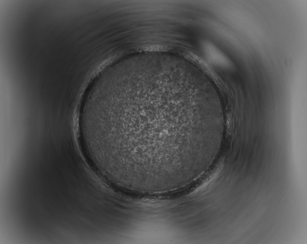 X0000093130725200710101058