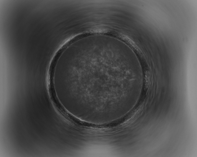 X0000093130726200710101058